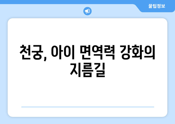 천궁| 아이 면역력 강화에 효과적인 한약재, 그 놀라운 효능 | 천궁, 어린이 면역, 한방, 건강