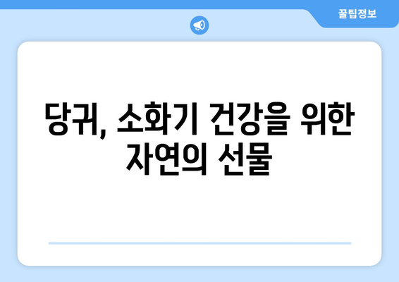 당귀의 효능| 소화불량과 식욕 부진 개선에 도움이 되는 위장 보호제 | 당귀, 소화, 식욕, 위장 건강