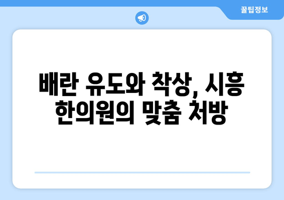 시흥 임신 한약으로 배란장애 극복하고 착상 성공률 높이기 |  난임, 한의학, 시흥 한의원, 배란 유도, 착상, 임신 준비