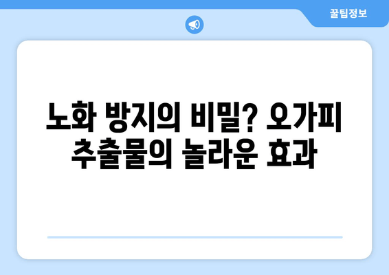 오가피 추출물의 강력한 항산화 효과| 자유 라디칼로부터 건강 지키기 | 항산화, 자유 라디칼 제거, 오가피 효능, 건강 관리