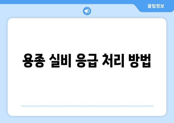 용종 실비 응급 처리 방법