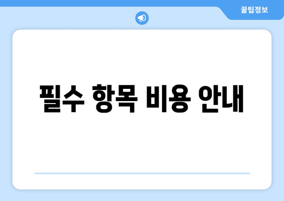 필수 항목 비용 안내