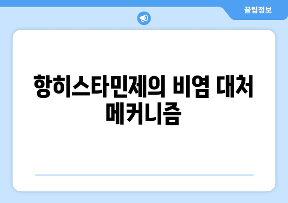 항히스타민제의 비염 대처 메커니즘