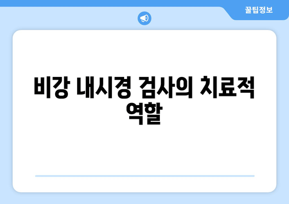 비강 내시경 검사의 치료적 역할