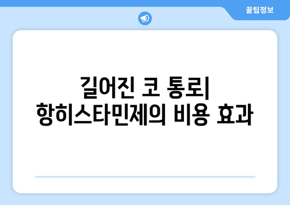 길어진 코 통로| 항히스타민제의 비용 효과