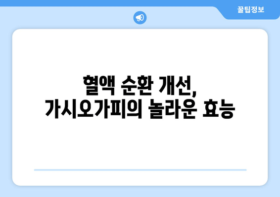 가시오가피가 심혈관 건강을 지키는 5가지 이유 | 건강, 심혈관 질환, 천연 약재, 가시오가피 효능