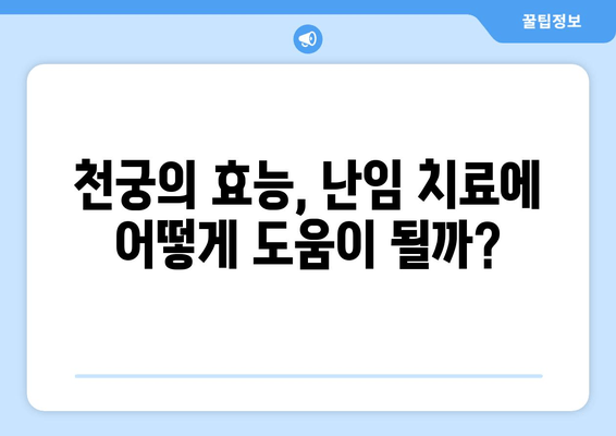 천궁| 난임 극복, 임신 한약의 효과와 주의 사항 | 천궁 효능, 난임 치료, 한약 처방