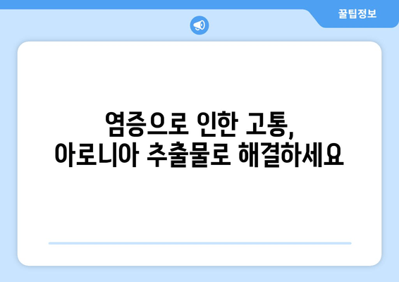 아로니아 추출물의 놀라운 항염증 효과| 건강을 지키는 자연의 선물 | 아로니아, 항염증, 건강, 효능, 면역