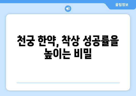 천궁, 임신 한약으로 배란 장애 극복하고 착상 성공률 높이기 | 천궁 효능, 임신 준비, 한약 처방