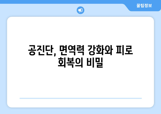 공진단 효능과 효과 완벽 이해|  궁금증 해결 및 복용 가이드 | 건강, 한방, 면역력, 피로회복, 체력 증진