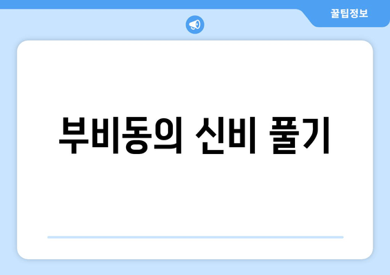 부비동의 신비 풀기