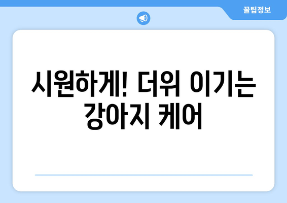 시원하게! 더위 이기는 강아지 케어