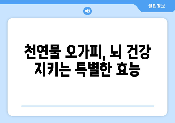 오가피 추출물의 알츠하이머병 예방 및 치료 가능성| 최신 연구 결과 분석 | 오가피, 알츠하이머, 치매, 천연물, 건강