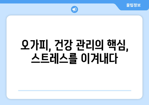 오가피 추출물의 놀라운 항스트레스 효과| 스트레스 관리의 새로운 지혜 | 오가피, 스트레스 해소, 건강 관리