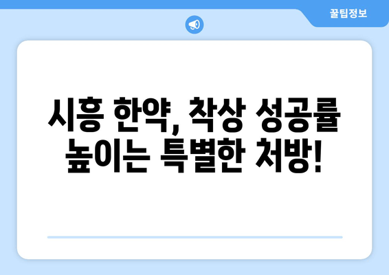 시흥 임신 한약| 배란장애 극복, 착상 성공 위한 맞춤 가이드 | 시흥 한의원, 난임, 불임, 한방 치료