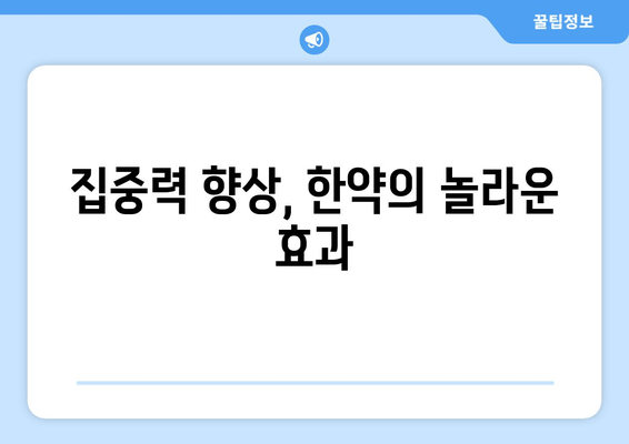 수험생, 한약으로 체력과 집중력 UP! | 수험생 건강 관리, 한약 효능, 집중력 향상, 체력 증진