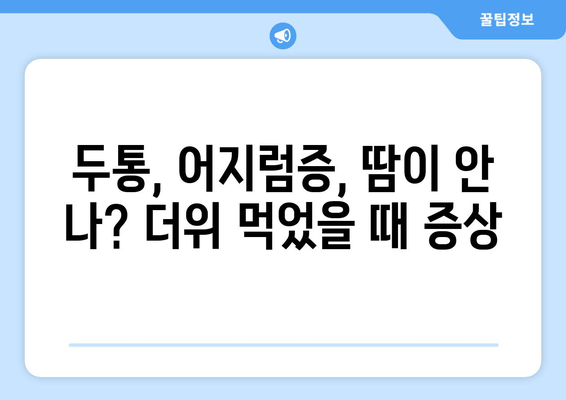 두통, 어지럼증, 땀이 안 나? 더위 먹었을 때 증상