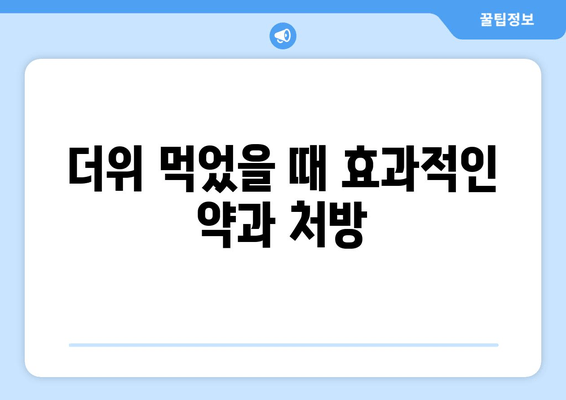 더위 먹었을 때 효과적인 약과 처방