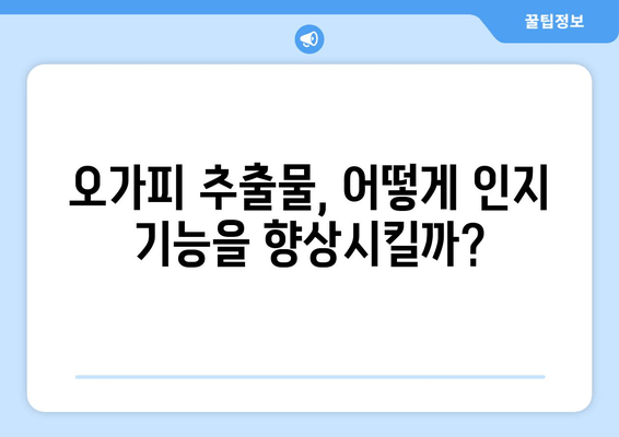 오가피 추출물, 인지 기능 향상 효과는? | 연구 결과 및 효능 분석