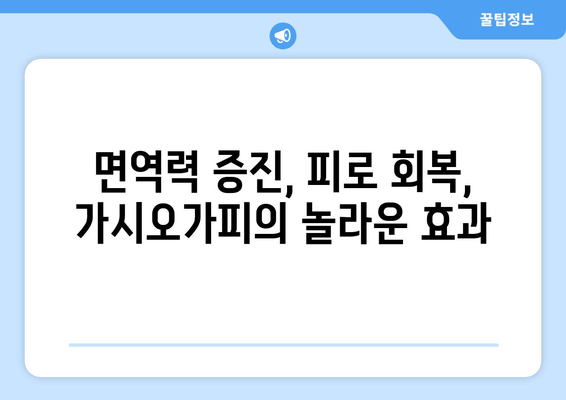 임상 연구 결과| 가시오가피 효능, 어떤 질병에 효과적일까? | 가시오가피, 건강, 효능, 임상 연구, 효과