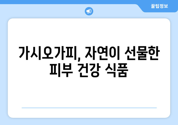 가시오가피, 피부 건강의 비밀을 밝히다 | 피부 미용, 항산화, 면역력, 건강 식품