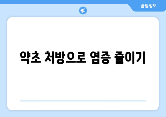 약초 처방으로 염증 줄이기