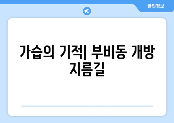 가습의 기적| 부비동 개방 지름길