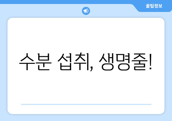 수분 섭취, 생명줄!