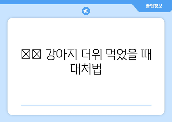 🌡️ 강아지 더위 먹었을 때 대처법