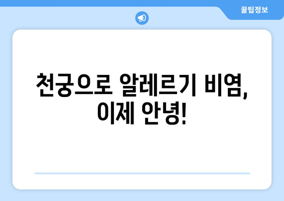 천궁| 알레르기 비염 완화 효과, 한약재의 놀라운 비밀 | 천궁 효능, 알레르기 비염 치료, 한약