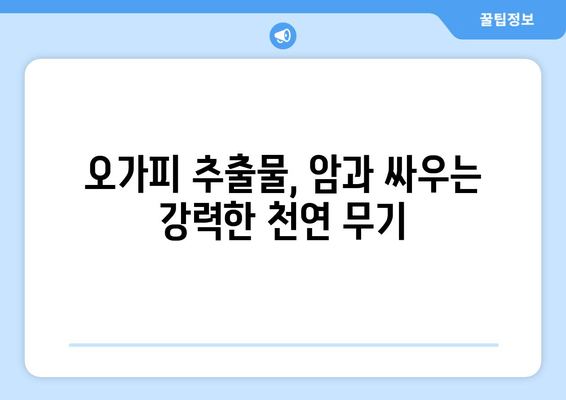 오가피 추출물의 강력한 항암 효능| 과학적 근거와 활용 | 오가피, 항암, 천연물, 건강, 연구