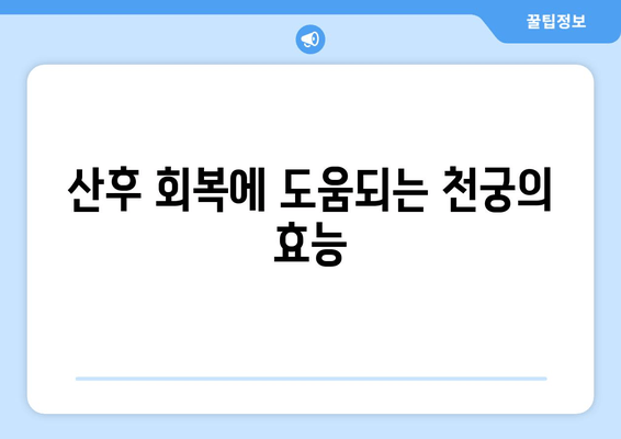 천궁| 산후 몸조리, 한약으로 건강하게 회복하기 | 산후 회복, 한방, 천궁 효능, 처방