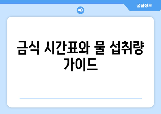 금식 시간표와 물 섭취량 가이드