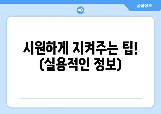 시원하게 지켜주는 팁! (실용적인 정보)