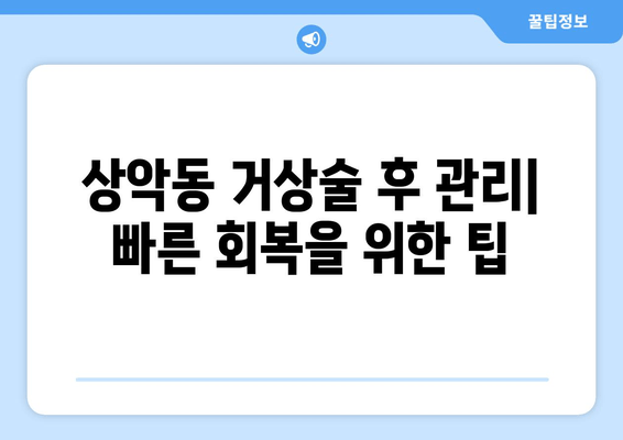 상악동 거상술 가이드| 비용, 과정, 주의사항까지 완벽 정리 | 임플란트, 치과, 수술