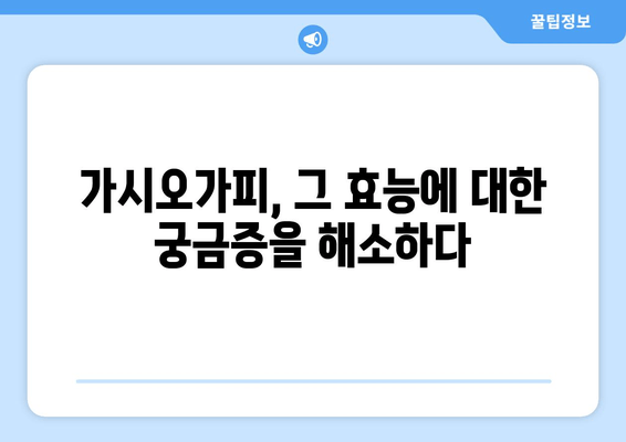 가시오가피의 놀라운 효능| 과학적 연구 결과 총정리 | 건강, 면역력, 항산화, 관절 건강