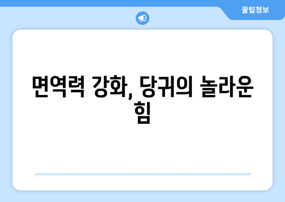 당귀의 놀라운 효능| 노화 억제와 장수를 위한 강력한 항산화제 | 건강, 장수, 항산화, 면역력