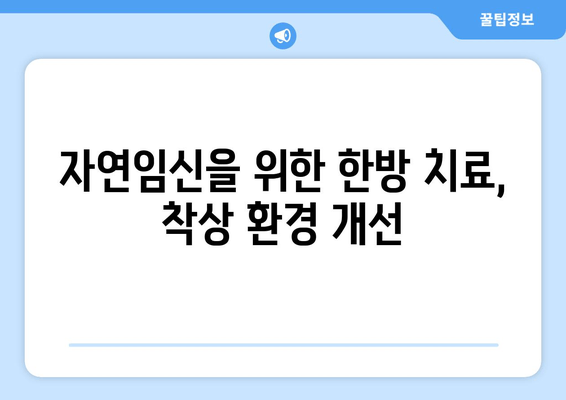 임신 성공률 높이는 한의원 착상 지원 프로그램 | 난임, 자연임신, 한방치료, 착상, 임신