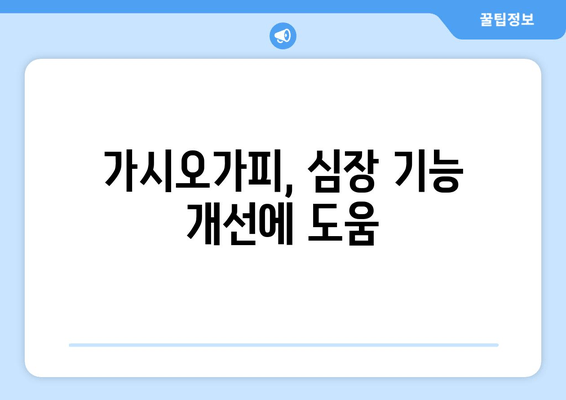 가시오가피가 심혈관 건강을 지키는 5가지 이유 | 건강, 심혈관 질환, 천연 약재, 가시오가피 효능