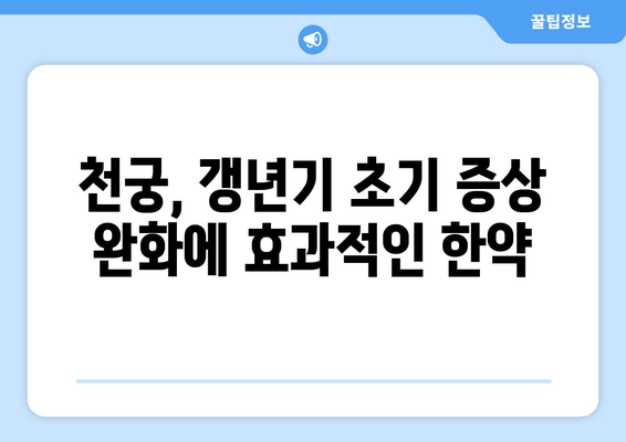 천궁, 갱년기 초기 증상 완화에 효과적인 한약 | 천궁 효능, 갱년기 증상, 한약 처방