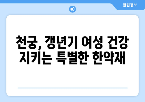 천궁, 갱년기 초기 증상 완화에 효과적인 한약 | 천궁 효능, 갱년기 증상, 한약 처방