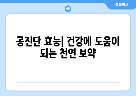 공진단 효능| 건강에 도움이 되는 천연 보약 |  면역력 강화, 피로 회복, 갱년기 증상 완화 효과