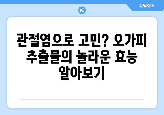 오가피 추출물의 항염증 효과| 관절통 완화를 위한 자연의 솔루션 | 오가피, 관절염, 통증 완화, 건강 팁