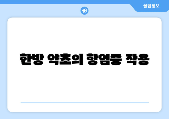 한방 약초의 항염증 작용