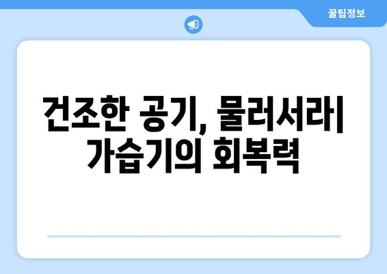 건조한 공기, 물러서라| 가습기의 회복력