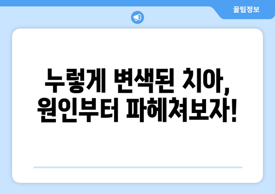 누렁니 안녕! 치아 착색 원인 박멸 & 효과적인 제거법 | 미백, 홈케어, 전문 치료