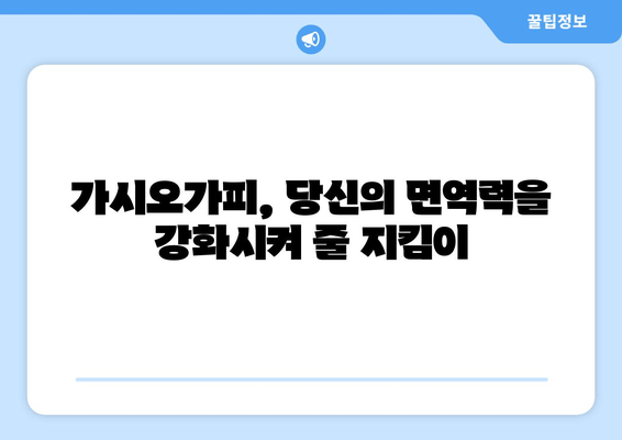 가시오가피의 놀라운 효능| 과학적 연구 결과 총정리 | 건강, 면역력, 항산화, 관절 건강