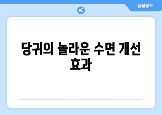 당귀| 수면의 질 개선과 수면 장애 해결에 도움이 되는 안정제 | 천연 수면 개선, 불면증 완화, 당귀 효능