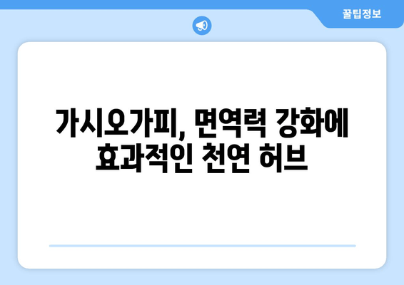 가시오가피 효능, 이제 제대로 알아보자! | 건강, 허브, 면역력, 효능, 부작용, 복용법