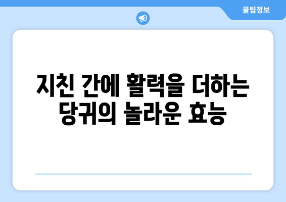 당귀의 놀라운 효능| 간 건강 지키는 천연 간 보호제 | 간 해독, 간 기능 개선, 당귀 효능, 건강 식품